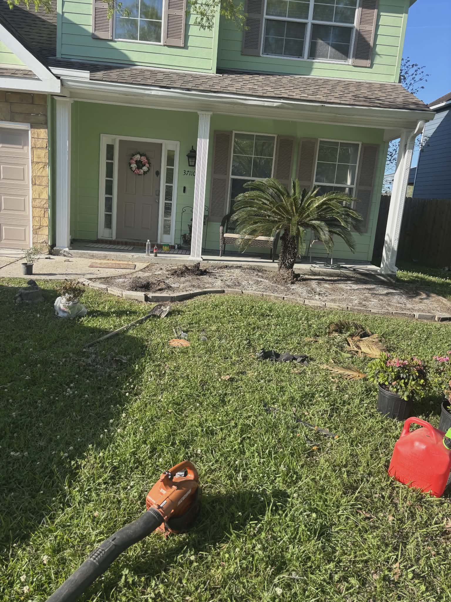 Before lawn care project