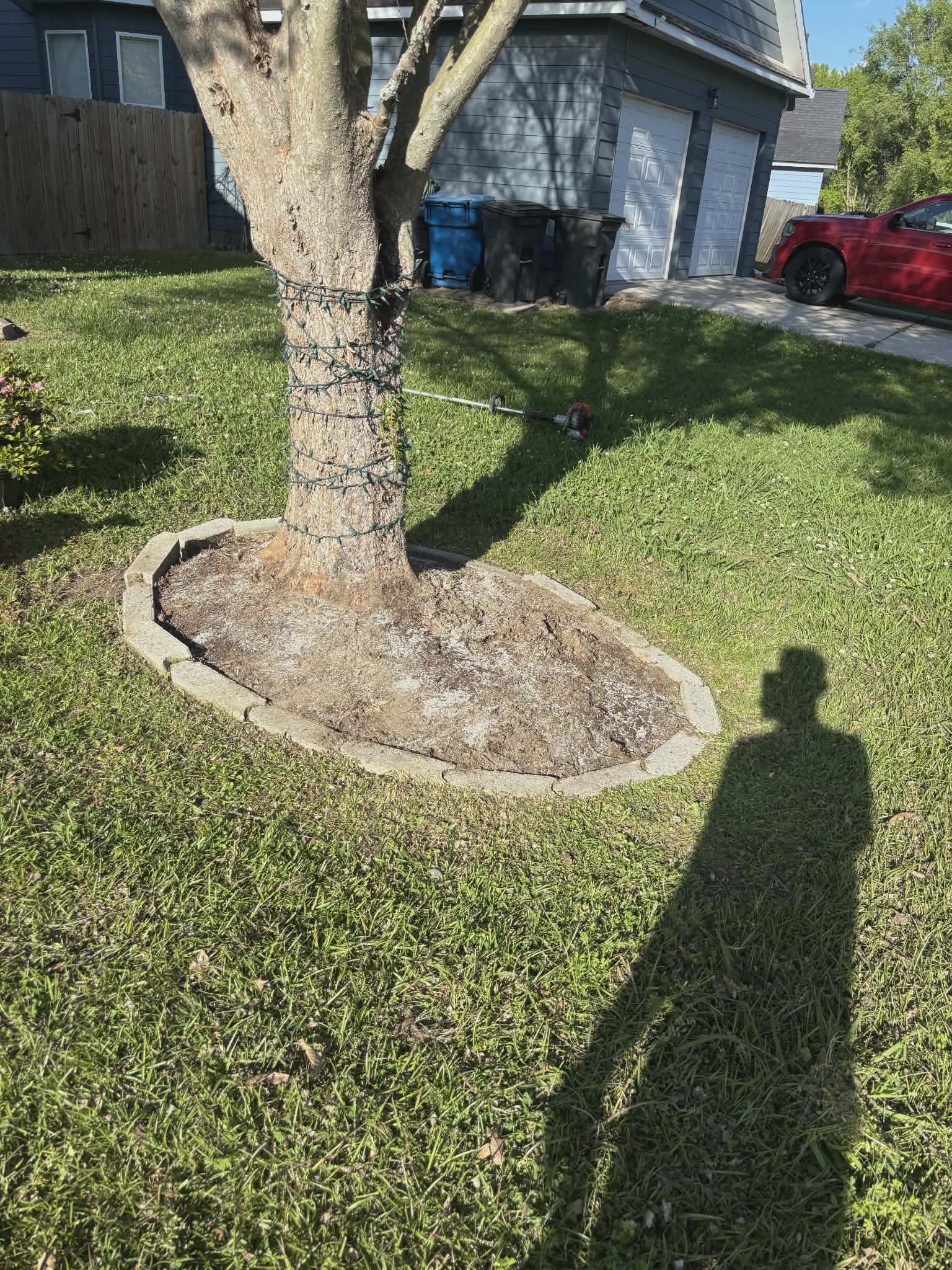 Before yard cleanup project